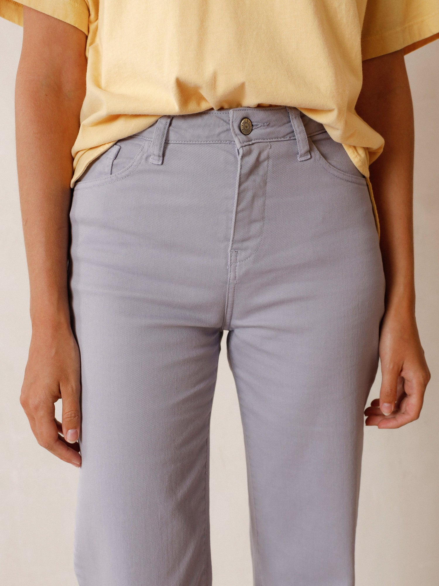 Indi & Cold Harry Wide Leg Twill Pant