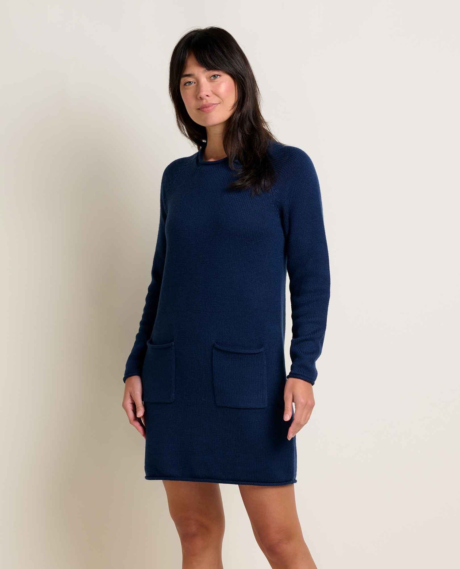 Toad & Co Alpineglo Roll Neck Sweater Dress