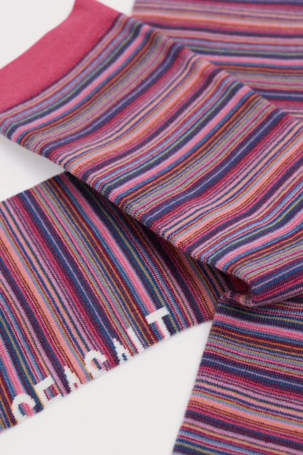 Seasalt Everyday Socks