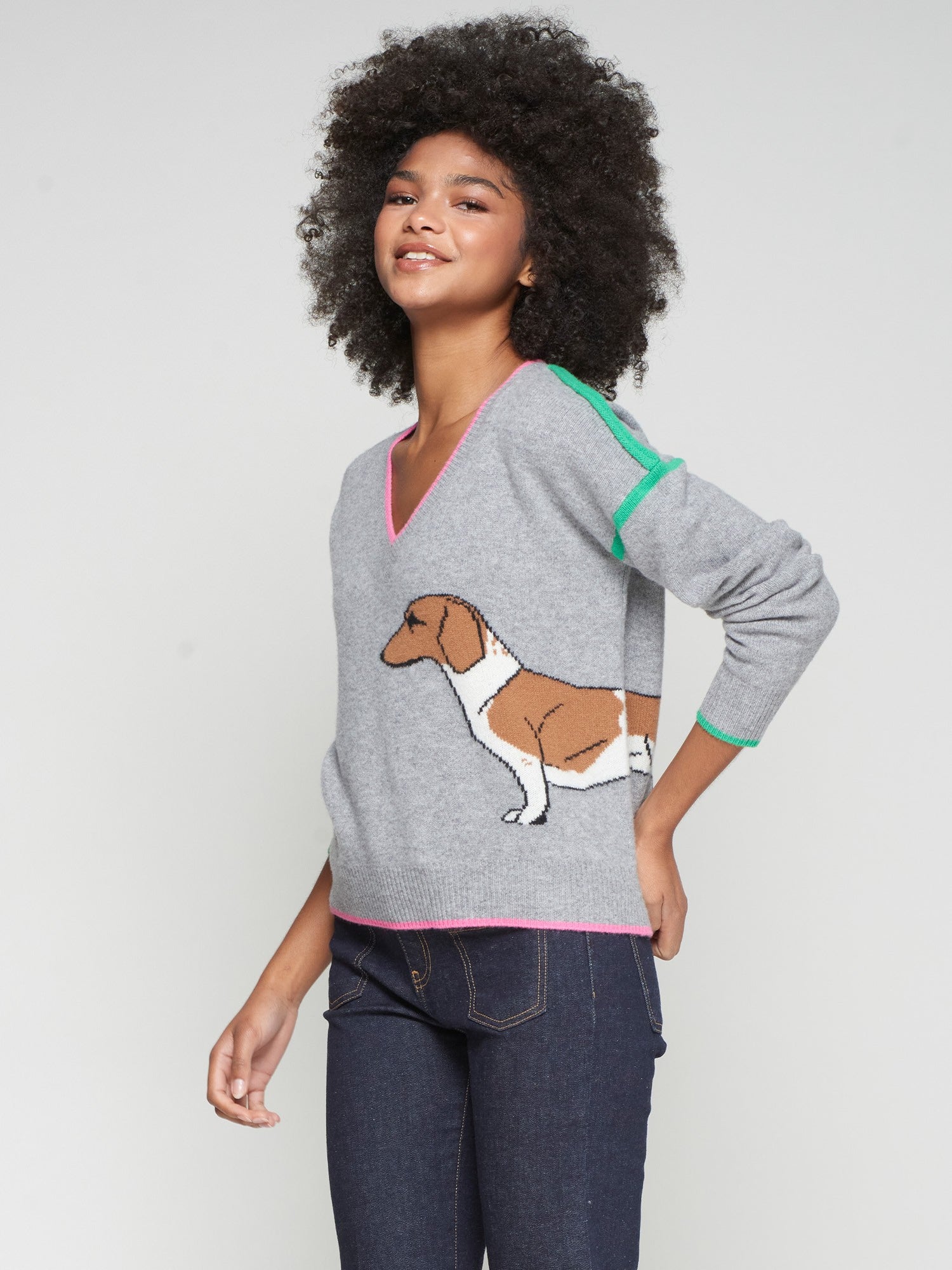 Vilagallo Intarsia Dachshund Sweater