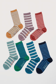Seasalt Gift Box of 7 Women's Sailor Socks
