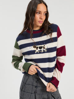 Vilagallo Striped Dachshund Raincoat Sweater