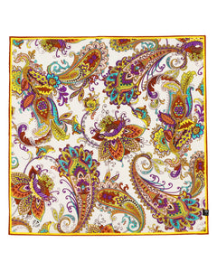 V. Frass Pretty Paisley Silk Neckie