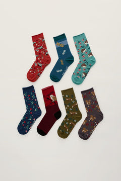 Seasalt Gift Box of 7 Women's Arty Socks