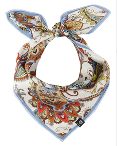 V. Frass Pretty Paisley Silk Neckie