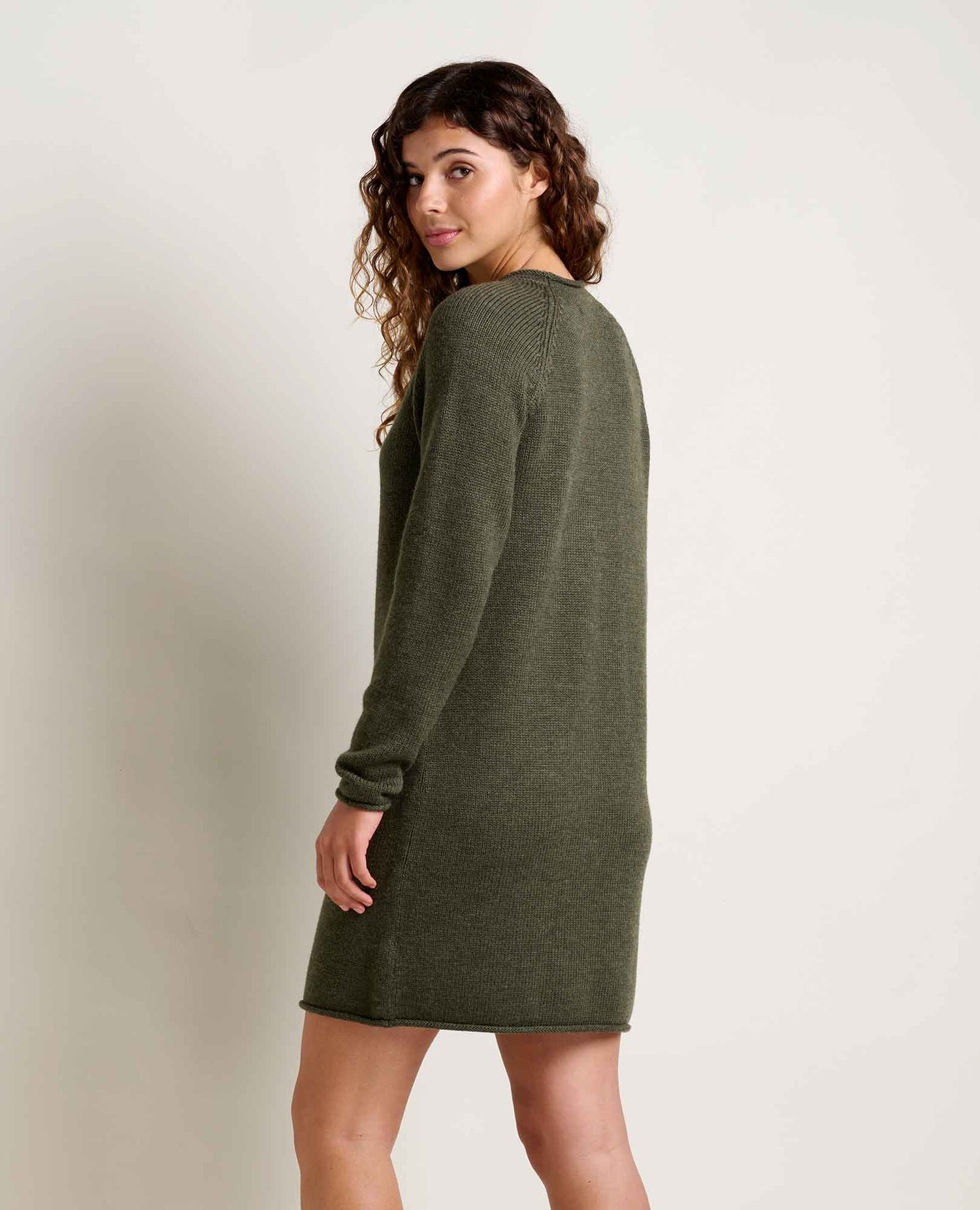 Toad & Co Alpineglo Roll Neck Sweater Dress