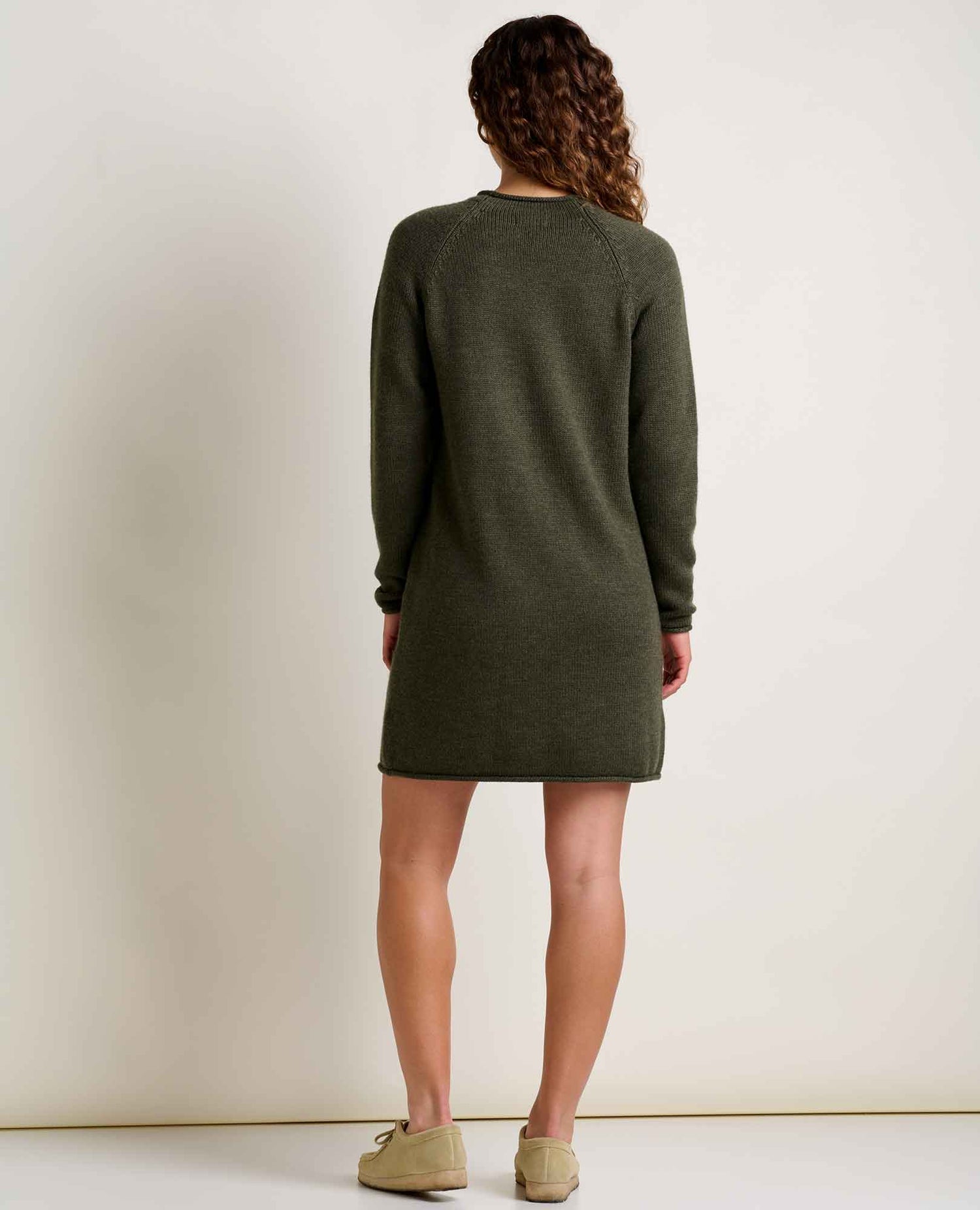 Toad & Co Alpineglo Roll Neck Sweater Dress