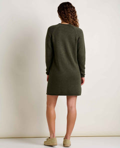 Toad & Co Alpineglo Roll Neck Sweater Dress