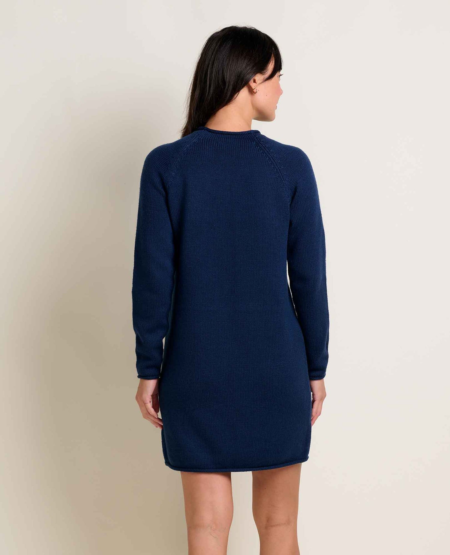 Toad & Co Alpineglo Roll Neck Sweater Dress