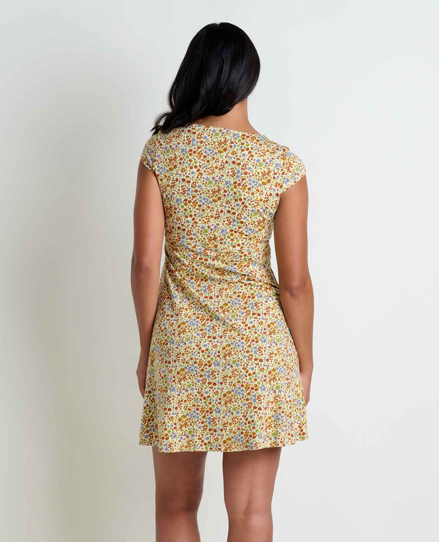 Toad & Co Rosemarie Dress